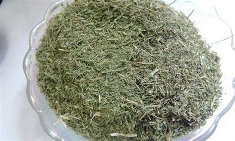 Dried Dill Weed / Dill Tip / Dill Leaves at Rs 350/kilogram | Dill Leaves | ID: 18753218248