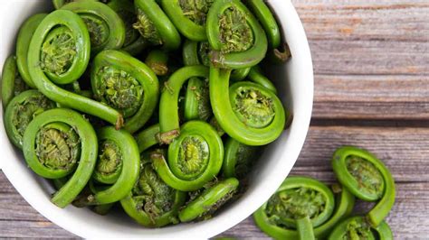 What's in Season? Fiddleheads - Canadian Food Focus