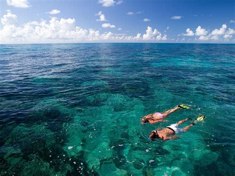 Key Biscayne National Park Snorkeling - absolutenessnews