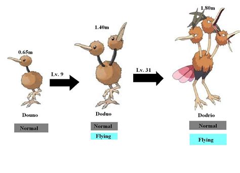 Fan-made evolution lines: Doduo's pre-evolution | Pokécharms