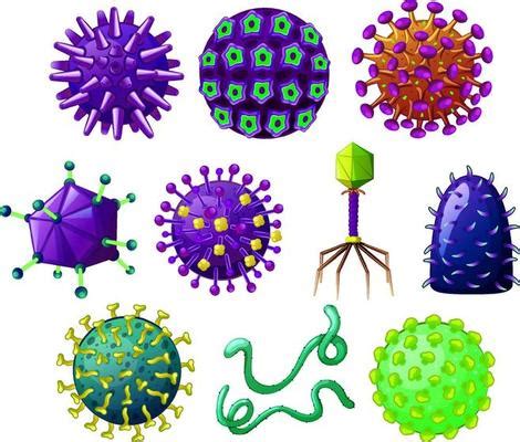 Virus Vector Art, Icons, and Graphics for Free Download