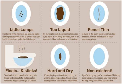 How to Analyze Your Stool - AVE Science & Technology Co.Ltd.