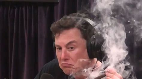 Tesla Stock Plummets After Elon Musk Smokes Weed With Joe Rogan