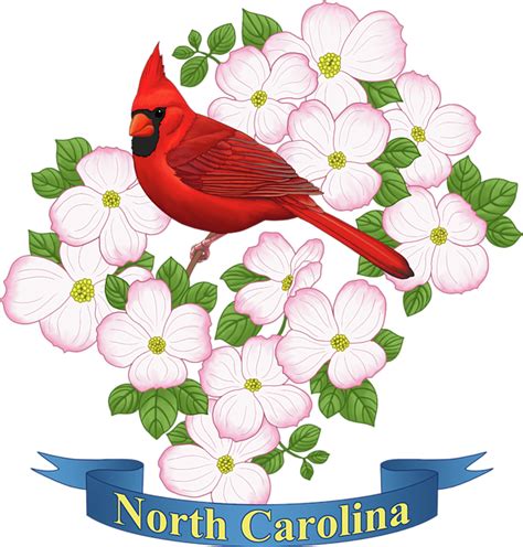 North Carolina State Bird and Flower iPhone 6s Case by Crista Forest - Pixels