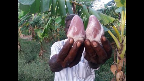 Cooking Goat Heart Gravy by My Uncle in My Village - My Village Food - YouTube