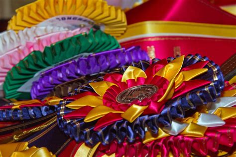 Awards and Prizes – Horse Shows In The Park