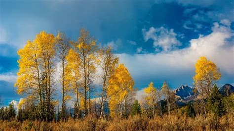 Sawtooth National Forest