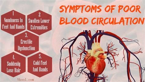 10 Signs And Symptoms Of Poor Blood Circulation In Legs