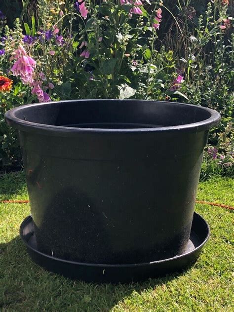 Plant pot - extra large 60 litre | in Old Trafford, Manchester | Gumtree