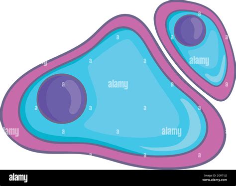 Cell nucleus icon, cartoon style Stock Vector Image & Art - Alamy
