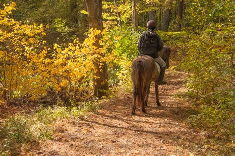 10 Best Places For Horseback Riding In Maryland - Southern Trippers