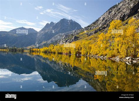 Fall colors Eastern Sierra mountains June Lake loop near Mammoth California Stock Photo - Alamy