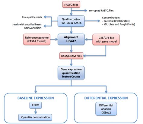 Differential gene expression analysis | Functional genomics II