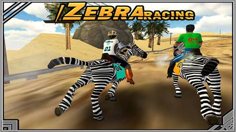 Zebra Racing Game - Animal Games - Horse Games