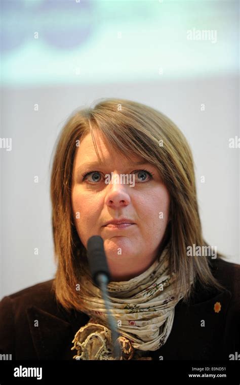 Welsh AM and leader of Plaid Cymru in Wales Leanne Wood Stock Photo - Alamy