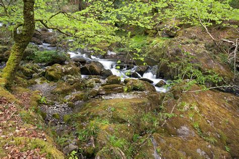 Mystic River Photograph by Thomas Glover | Fine Art America