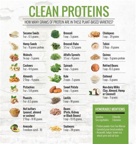 Pin by MAMABRICKHOUSE on Clean eating | Vegetarian protein, Vegan nutrition, Protein foods list