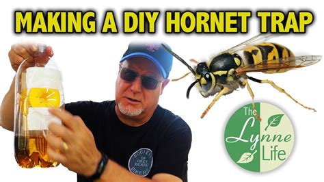 Making a diy hornet trap - YouTube