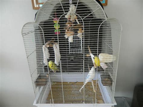 Bird Cage Covers Large