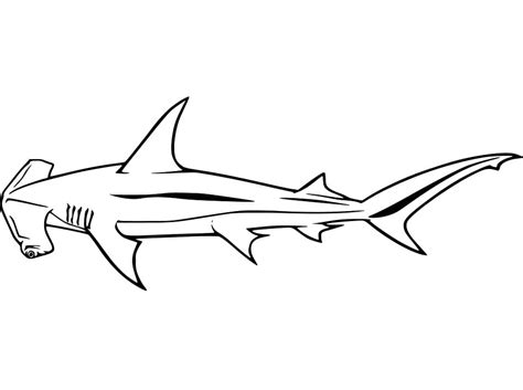 Hammerhead Sharks Coloring Page - Free Printable Coloring Pages for Kids