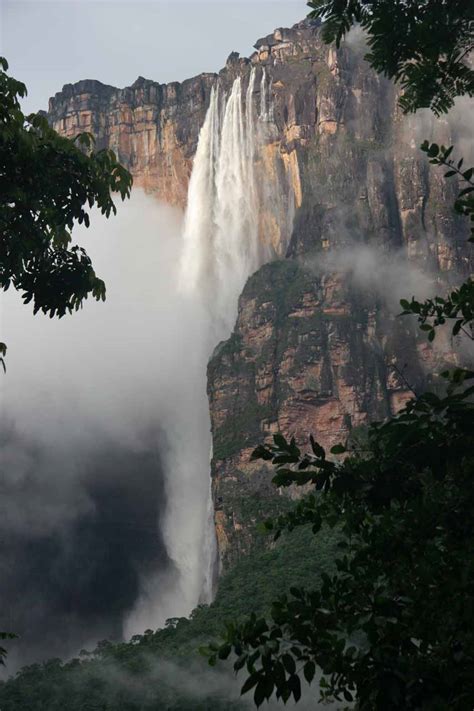 Angel Falls - Bing images