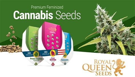 ILGM Seed Bank | Premium Marijuana Seeds For Sale Online