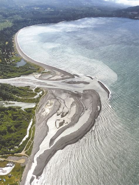 Dam work, fish, sediment: Researchers keep track of Elwha River ...