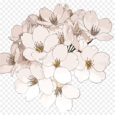 Free Transparent Flower Drawing Tumblr, Download Free Transparent Flower Drawing Tumblr png ...