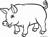 Pig coloring Pages – Artofit sketch template