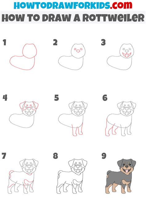 How to Draw a Rottweiler - Easy Drawing Tutorial For Kids