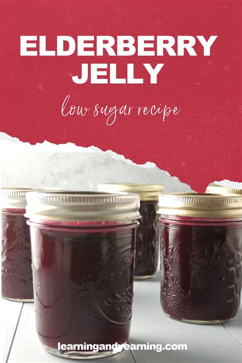 Certo Pectin Elderberry Jelly Recipe | Dandk Organizer