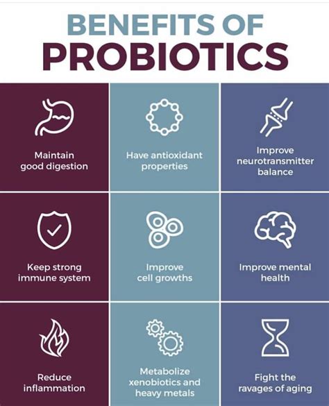 Pin by Valeria Carrillo on Healthy Tips | Probiotic benefits ...