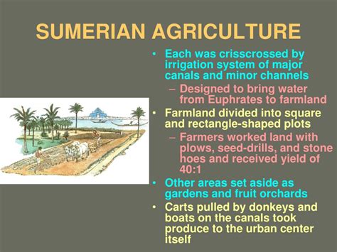 PPT - FIRST SUMERIANS PowerPoint Presentation, free download - ID:9634726