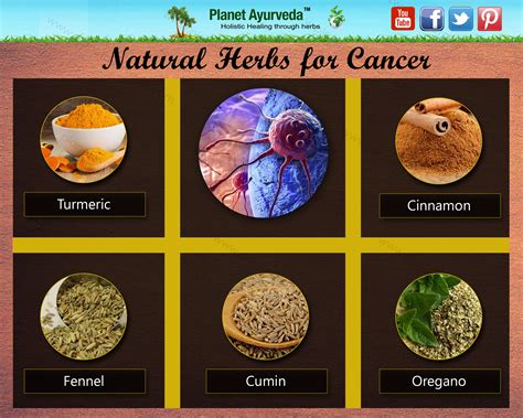 Ayurvedic Herbs for Cancer Treatment - Symptoms, Diet & Prevention