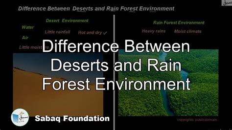 Difference Between Deserts and Rain Forest Environment, General Science Lecture | Sabaq.pk - YouTube