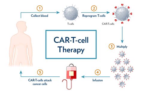 Cancer patients get second chance at life, thanks to new CAR-T-cell ...