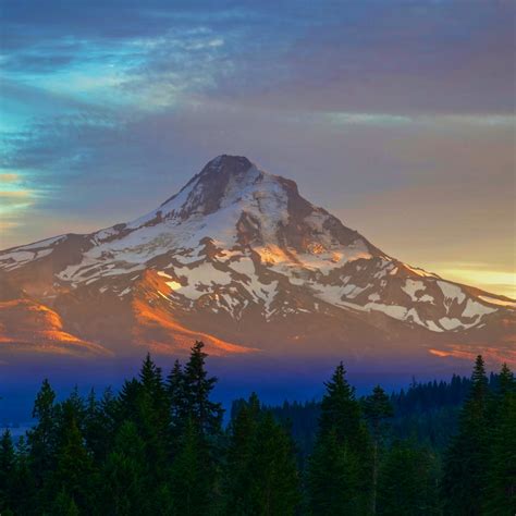 Desktop wallpaper mount taranaki, golden peak, trees, sunset, nature ...