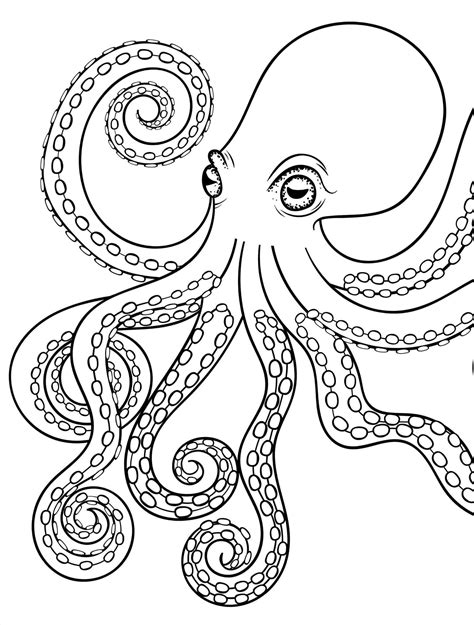 Octopus Drawing For Kids at PaintingValley.com | Explore collection of ...