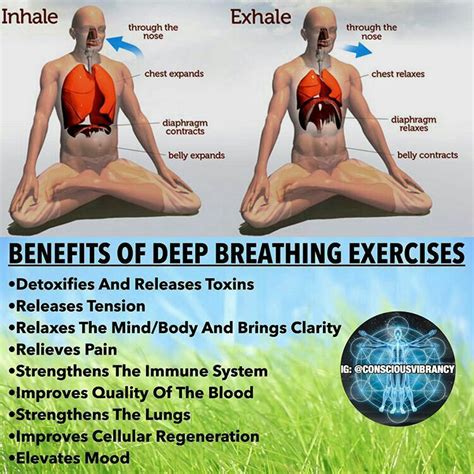 types of breathing exercises in yoga