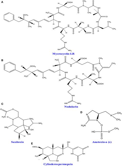 | Processes of biodiesel and bioethanol production from microalgae... | Download Scientific Diagram