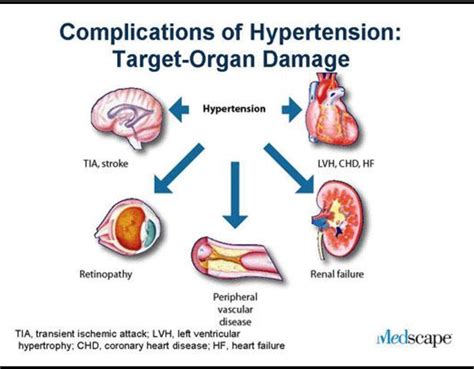 Figure 1 from Retinal microvascular calibre and blood pressure associated target organ damage ...