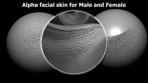 Alpha facial skin for Male and Female 3D model | CGTrader