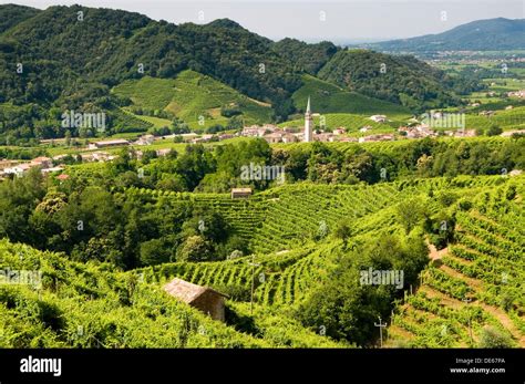 Italy, Valdobbiadene, Guia area, vineyards of prosecco Stock Photo - Alamy