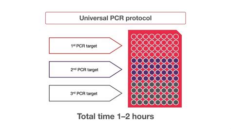 Annealing Temperature Pcr