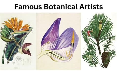 10 Most Famous Botanical Artists - Artst