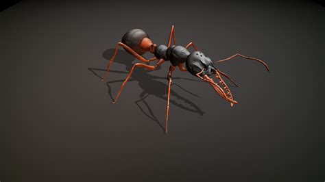 ArtStation - Ant Bulldog | Game Assets