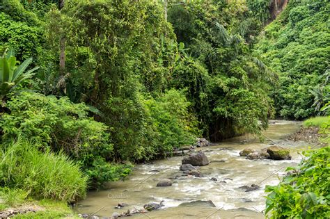 Beautiful tropical river in rainforest jungle of Bali island, Indonesia. | High-Quality Nature ...