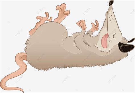 Opossum Vector Design Images, Vector Image Of A Cartoon Deadlike Opossum, Snout, Health ...