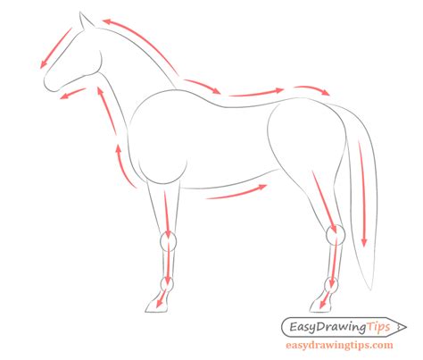 How to Draw a Horse From the Side View Tutorial - EasyDrawingTips