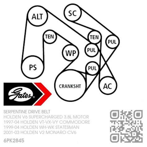 Vt Commodore Engine Belt Diagram